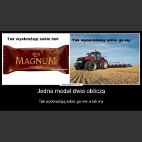 Jedna model dwia oblicza